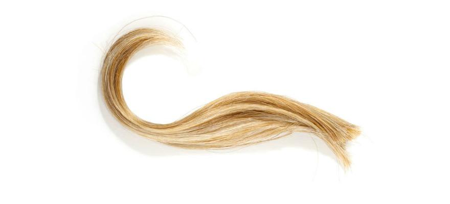 How much hair is needed for a drug test DNA Legal